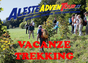 aleste-adventure