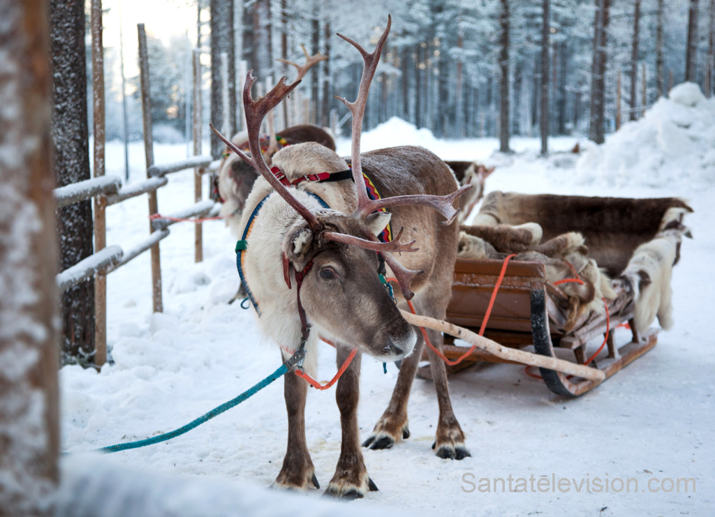 ESCURSIONI E ATTIVITA' A ROVANIEMI 2018-2019