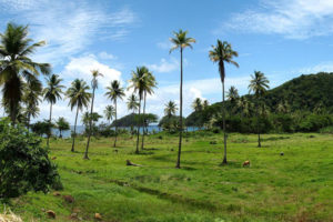 Panorama di Dominica