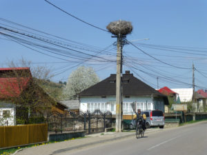 BUCOVINA